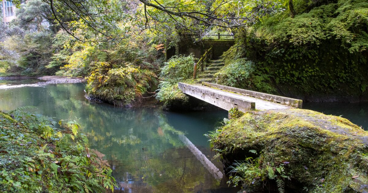 苔むした橋と渓流がある緑豊かな自然風景