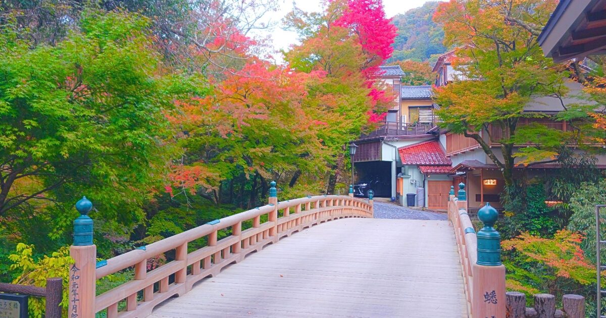 紅葉に彩られたあやとりはしと温泉街の風景
