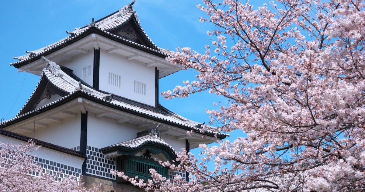 桜と金沢城の天守閣の春景色