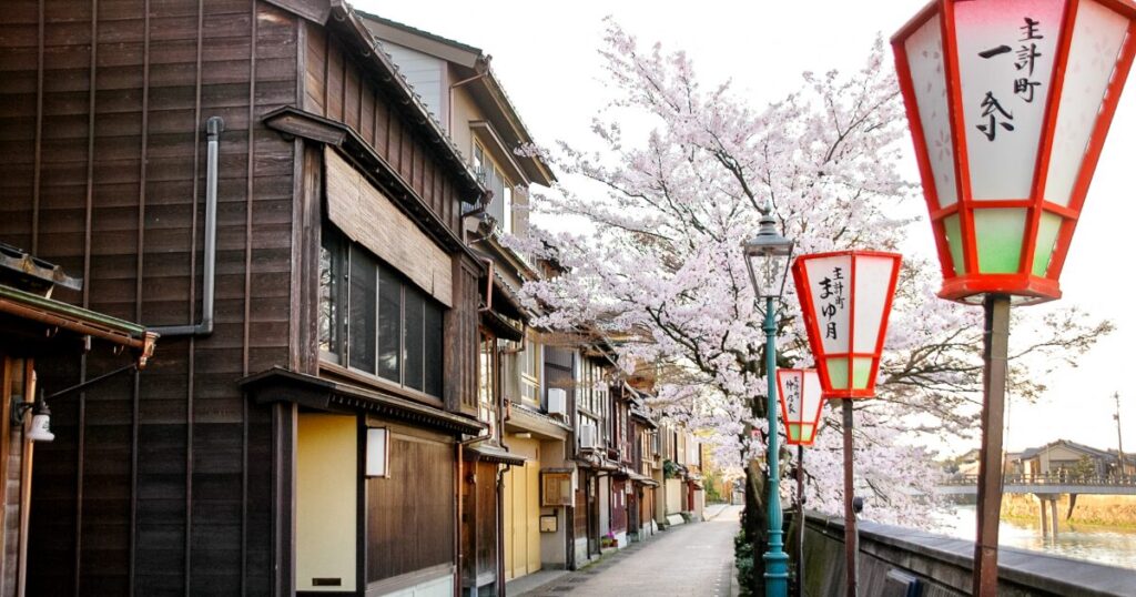 主計町茶屋街の桜と伝統的な街並み