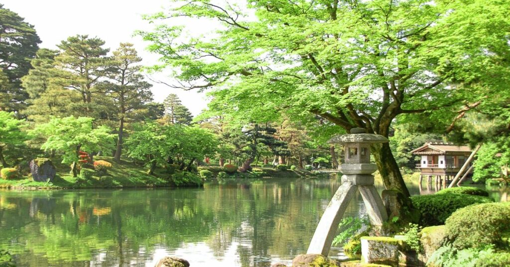 新緑の兼六園と徽軫灯籠