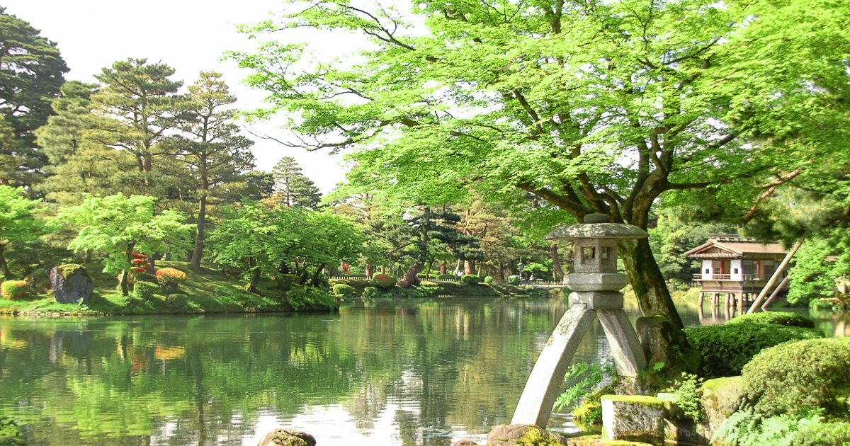 新緑の兼六園と徽軫灯籠