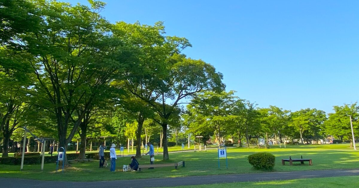朝の金沢市の緑豊かな公園