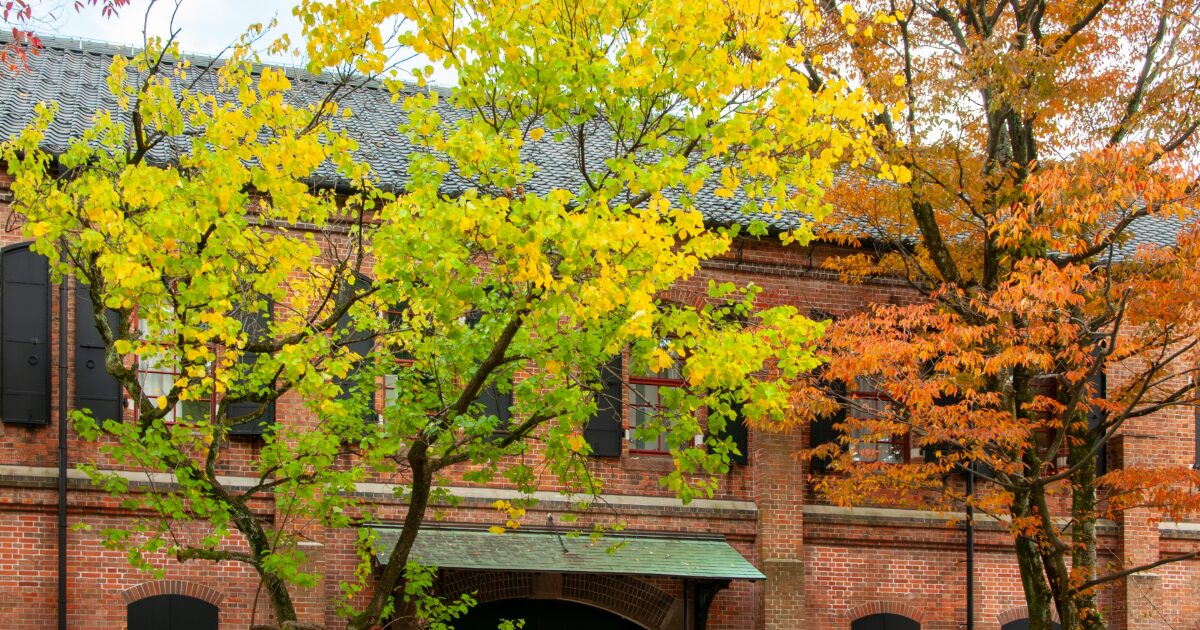 石川県立歴史博物館と紅葉の木々