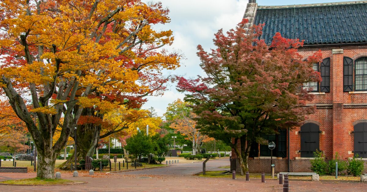 秋の石川県立歴史博物館と色づく並木道
