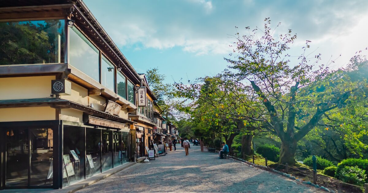 茶屋街の風情ある街並みと木々が並ぶ散策路